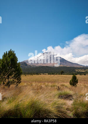 De la fumée sort du volcan Popocatepetl enneigé vu du Izta-Popo Zoquiapan Parc National, Mexique Banque D'Images