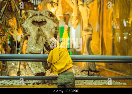 Beijing, Chine, 16 Octobre 2018 : le garçon regardant squelette de dinosaure dans museum Banque D'Images