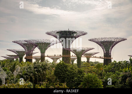 Singapour - décembre 2018 : Vue aérienne du jardin botanique, jardins de la baie, à Singapour. Banque D'Images