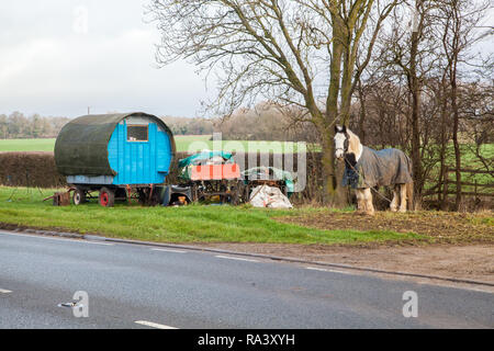 Vivant dans une chambre confortable dotée d'un type traditionnel cheval roulotte tzigane arrêté sur le bord de l'herbe sur le côté de la route pour leurs chevaux à pâturer Banque D'Images