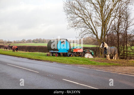 Vivant dans une chambre confortable dotée d'un type traditionnel cheval roulotte tzigane arrêté sur le bord de l'herbe sur le côté de la route pour leurs chevaux à pâturer Banque D'Images