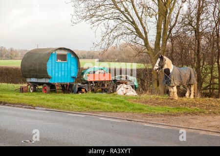 Vivant dans une chambre confortable dotée d'un type traditionnel cheval roulotte tzigane arrêté sur le bord de l'herbe sur le côté de la route pour leurs chevaux à pâturer Banque D'Images