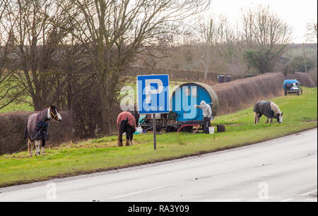 Vivant dans une chambre confortable dotée d'un type traditionnel cheval roulotte tzigane arrêté sur le bord de l'herbe sur le côté de la route pour leurs chevaux à pâturer Banque D'Images