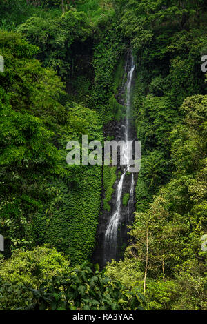 Chutes d'Secumpul - incroyable lieu touristique dans l'île de Bali, Indonésie. De belles chutes d'eau cachées dans les montagnes de Bali. Banque D'Images