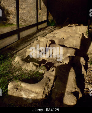 L'Italie. Pompéi. Moulages en plâtre d'organes de la victime dans le jardin des fugitifs. Les corps de 13 personnes qui ont été enterrés par les cendres, alors qu'ils tentent de fuir Pompéi au cours de l'AD 79 éruption du volcan Vésuve. La Campanie. Banque D'Images