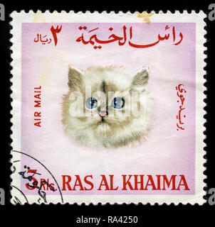 Timbre-poste de Ras Al Khaimah aux Emirats Arabes Unis dans les races de chat série émise en 1967 Banque D'Images