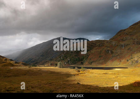 Une image d'automne du Loch Coire Shubh et les paysages alentours près de Kinloch hourn en Ecosse, Lochaber. 04 Octobre 2014 Banque D'Images