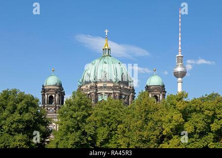 La Cathédrale de Berlin et tour de télévision de Berlin Alex, l'île aux musées, Berlin, Allemagne Banque D'Images