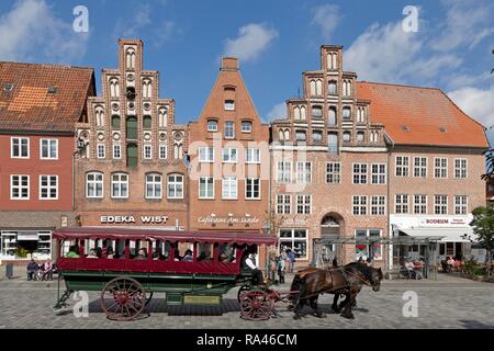 Balade en calèche en face de maisons en briques, Am Sande, Lunebourg, Basse-Saxe, Allemagne Banque D'Images