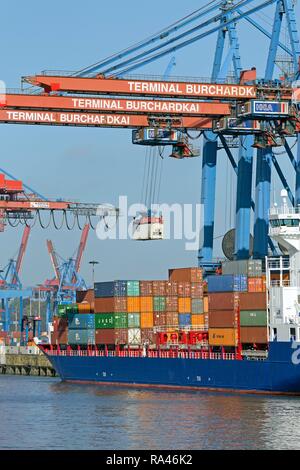 Les conteneurs sont chargés sur un cargo, container terminal Burchardkai, Waltershof, Hambourg, Allemagne Banque D'Images