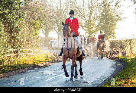 . Le Cheshire Fox hunt sur leur répondre la veille de Noël dans le village de Bunbury limite désormais à un parfum et faites glisser la chasse à courre Banque D'Images