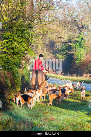 . Le Cheshire Fox hunt sur leur répondre la veille de Noël dans le village de Bunbury limite désormais à un parfum et faites glisser la chasse à courre Banque D'Images