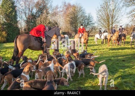 . Le Cheshire Fox hunt sur leur répondre la veille de Noël dans le village de Bunbury limite désormais à un parfum et faites glisser la chasse à courre Banque D'Images