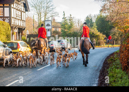 . Le Cheshire Fox hunt sur leur répondre la veille de Noël dans le village de Bunbury limite désormais à un parfum et faites glisser la chasse à courre Banque D'Images