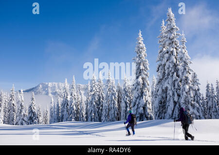 Deux femmes de la raquette dans la neige a recouvert prairie subalpine, centrale de la chaîne des Cascades, l'État de Washington, USA Banque D'Images