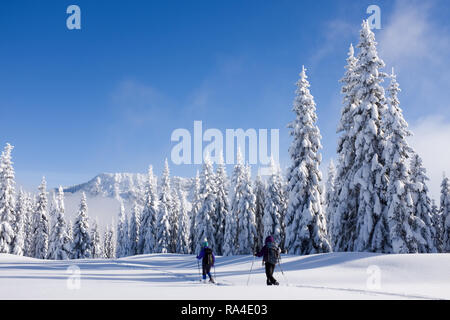 Deux femmes de la raquette dans la neige a recouvert prairie subalpine, centrale de la chaîne des Cascades, l'État de Washington, USA Banque D'Images