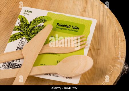 Les couverts jetables en bois, recyclable, plaque de feuille de palmier, respectueuse de l'environnement Banque D'Images