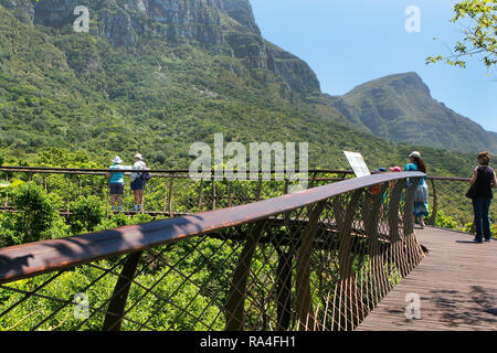 Visiteurs sur le boomslang Canopy Walkway dans Kirstenbosch National Botanical Garden à Cape Town, Province de Western Cape, Afrique du Sud. Banque D'Images