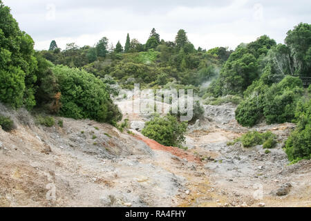 Rivière de montagne en Nouvelle-Zélande. Paysages de Nouvelle-Zélande Banque D'Images