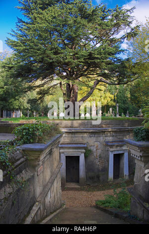 Cercle du Liban à l'Ouest le Cimetière de Highgate London England Banque D'Images