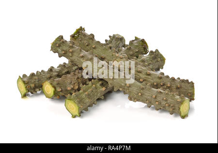 Tinospora cordifolia herb isolé sur fond blanc Banque D'Images