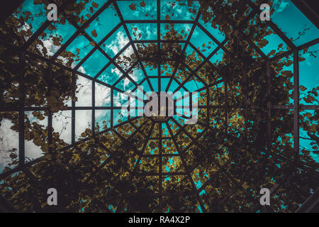 Ciel bleu derrière le dôme en verre couvert de feuilles, vu de l'intérieur et d'en bas Banque D'Images