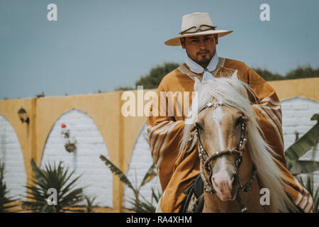 TRUJILLO, PÉROU - Septembre 2018 : Cowboy sur cheval au Pérou, école vers l'appareil photo, vue en gros plan de face with copy space Banque D'Images