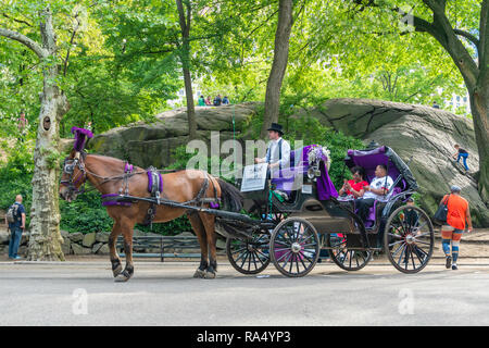 Les gens sur le cheval en calèche dans Central Park de New York City Banque D'Images