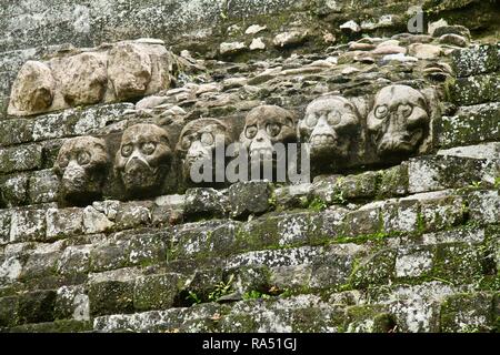 Crânes en pierre sculptée au jungle ruins au Honduras Banque D'Images