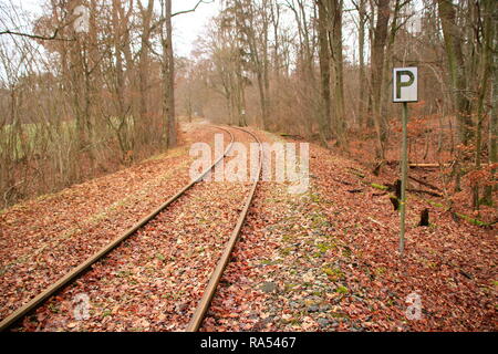 Les voies de chemin de fer s'enfuient de la visionneuse dans une courbe. Banque D'Images