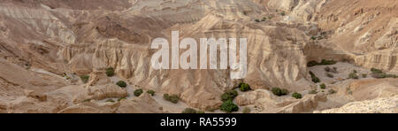 Une profonde gorge de la rivière à sec à découper dans le grès à sec par les eaux de crue. La seule eau qui s'écoule dans la mer Morte, Israël Banque D'Images