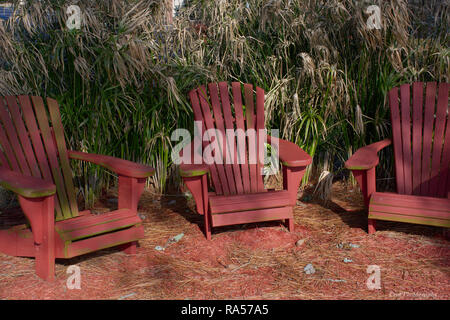 Il y a de chaises de jardin rougeâtre sur paillis rouge avec de grandes herbes d'automne en arrière-plan Banque D'Images