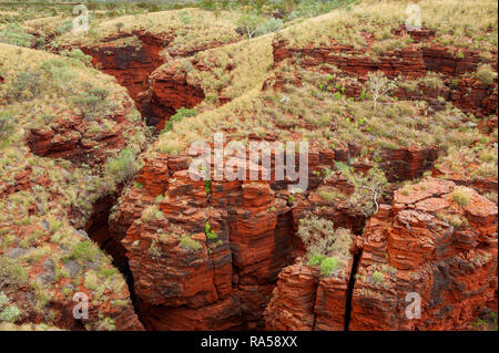 Knox robuste Gorge, dans le parc national de Karijini. Banque D'Images