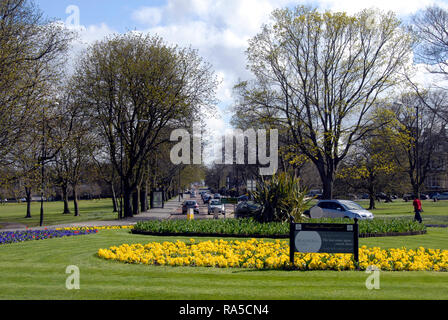 Rond-point attrayant au printemps sur la route principale dans la région de Harrogate, Yorkshire, Angleterre Banque D'Images