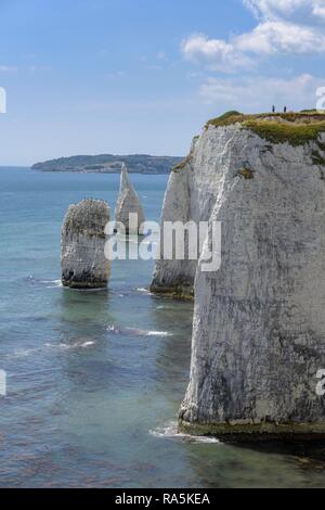 À l'ancienne côte falaise rochers Harrys, Studland, Angleterre, Grande-Bretagne Banque D'Images