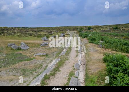 Rails de granit du fer à cheval, Dartmoor NP, Haytor, Angleterre, Grande-Bretagne Banque D'Images