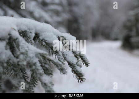 Paysage d'hiver à Kärsämäki, Finlande, 2018 Banque D'Images