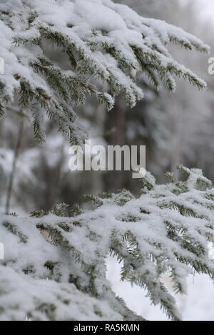 Paysage d'hiver à Kärsämäki, Finlande, 2018 Banque D'Images