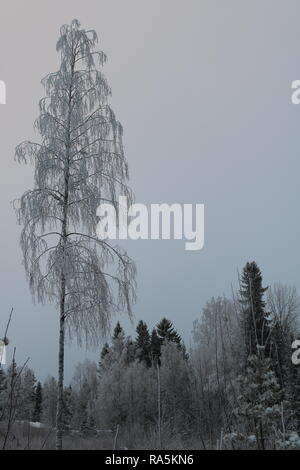 Paysage d'hiver à Kärsämäki, Finlande, 2018 Banque D'Images