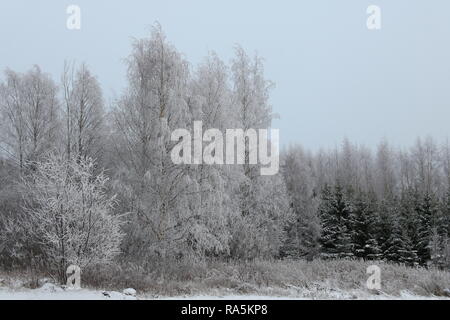 Paysage d'hiver à Kärsämäki, Finlande, 2018 Banque D'Images