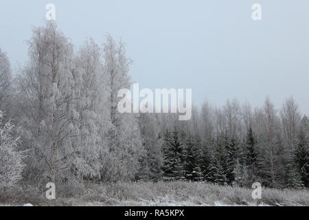 Paysage d'hiver à Kärsämäki, Finlande, 2018 Banque D'Images