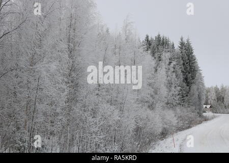 Paysage d'hiver à Kärsämäki, Finlande, 2018 Banque D'Images