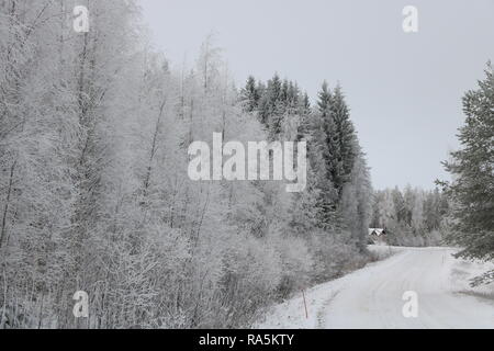 Paysage d'hiver à Kärsämäki, Finlande, 2018 Banque D'Images