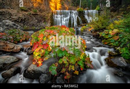 Au milieu McCloud Falls Cascade avec des feuilles rouge et jaune, longue exposition, Shasta-Trinity National Forest, Californie, USA Banque D'Images