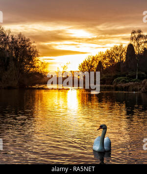 Magnifique coucher de soleil sur le lac Clumber park, Nottinghamshire, Angleterre Banque D'Images