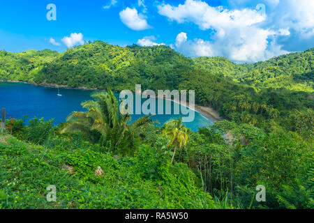 Englishman's Bay sur l'île tropicale de Tobago dans les Caraïbes, Antilles. Ciel bleu profond et l'océan dans cette baie isolée, Paysage Banque D'Images