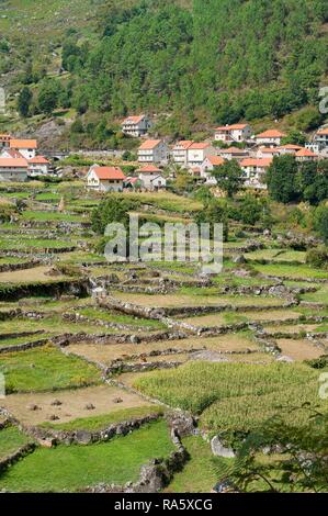 Le parc national de Peneda Geres, la province du Minho, Portugal, Europe Banque D'Images