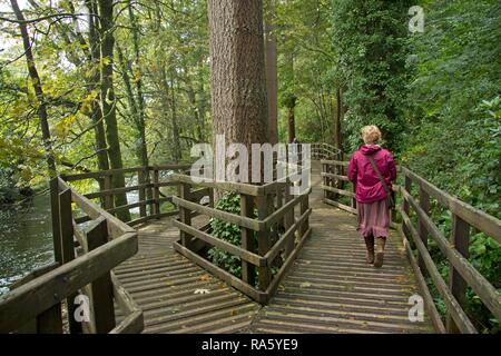 Femme marchant le long d'une promenade, Betws-Y-coed, au Pays de Galles, Royaume-Uni, Europe Banque D'Images