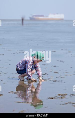 Garçon jouant dans la boue dans les vasières de la mer des Wadden, Duhnen, Cuxhaven, Basse-Saxe, Allemagne Banque D'Images