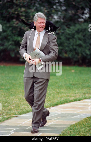 3/7/1995 - Photographie du Président William Jefferson Clinton avec chaussettes le chat perché sur l'épaule de Clinton Banque D'Images